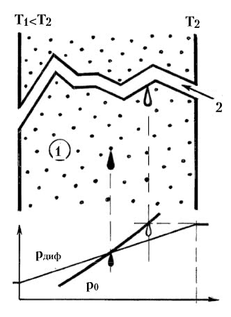 Наглядное представление воздухопаропроницаемого материала как совокупности паропроницаемых зон (1) и воздухопроницаемых сквозных каналов (2)