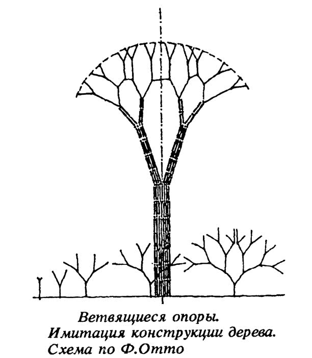 Ветвящиеся опоры. Имитация конструкции дерева