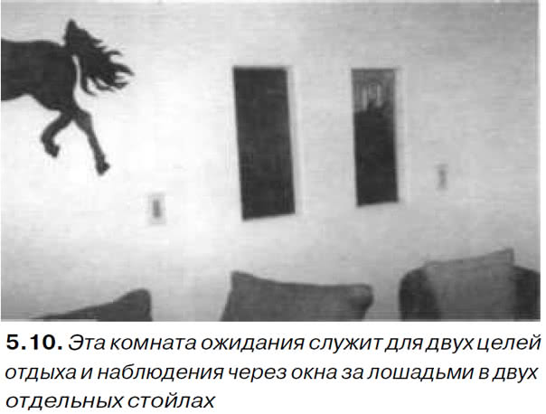 5.10. Эта комната ожидания служит для отдыха и наблюдения через окна за лошадьми