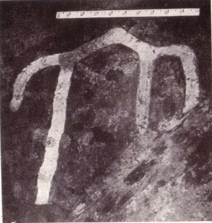 План предполагаемой трехнефной постройки. Раскопки С. Р. Килиевич у Десятинной церкви