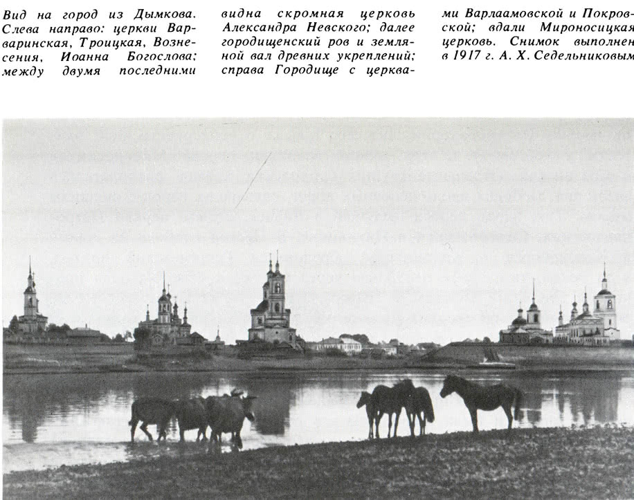 Вид на город из Дымкова. 1917 г.