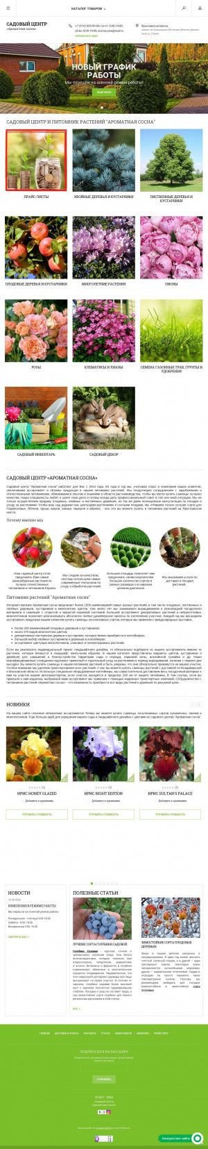 Предпросмотр для aromapine.ru — Ароматная сосна