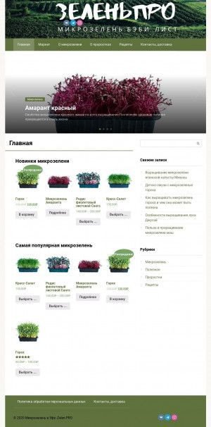 Предпросмотр для www.design-greenoffice.ru — Зеленый офис