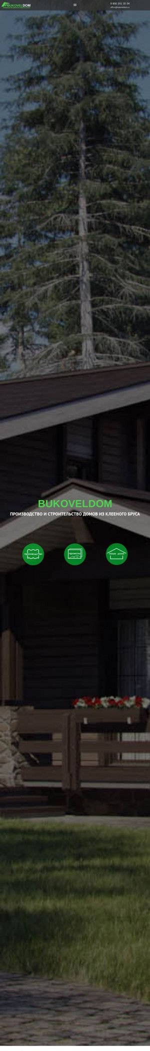 Предпросмотр для www.bukoveldom.ru — BukovelDom