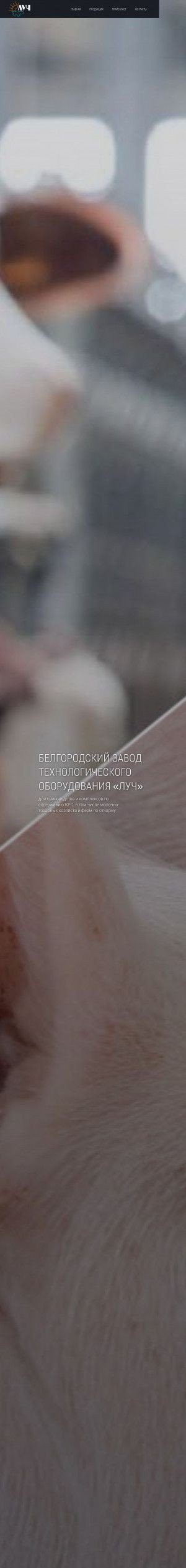 Предпросмотр для ltdluch.ru — Белгородский завод технологического оборудования Луч