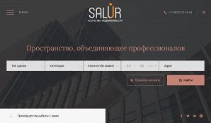 Предпросмотр для salur-group.ru — Салур Брянск