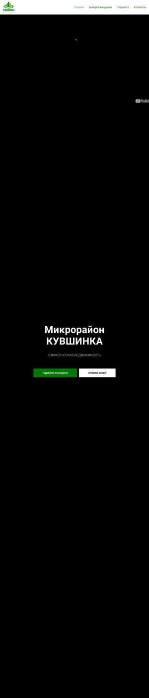Предпросмотр для bizneskuvshinka.ru — Лидер