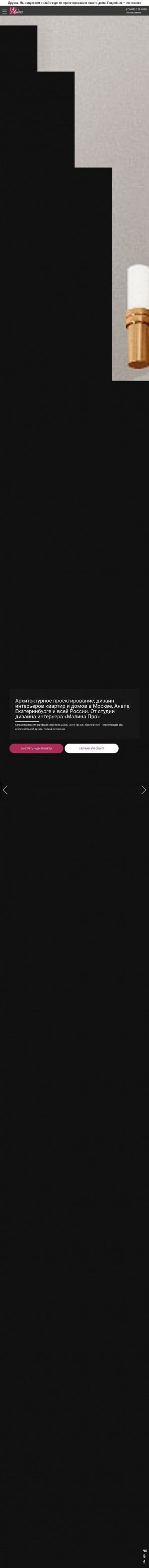 Предпросмотр для designmalina.ru — Малина - Про