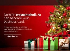 Предпросмотр для tvoysantehnik.ru — Твой сантехник