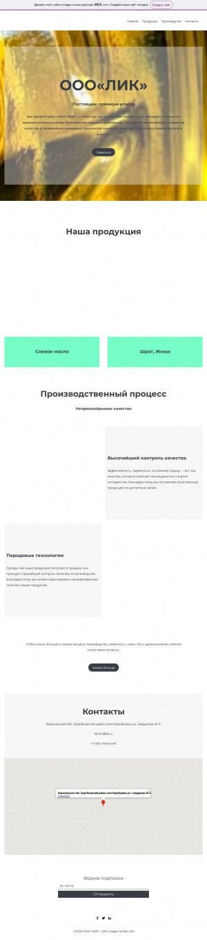 Предпросмотр для www.ooolik.ru — Лик