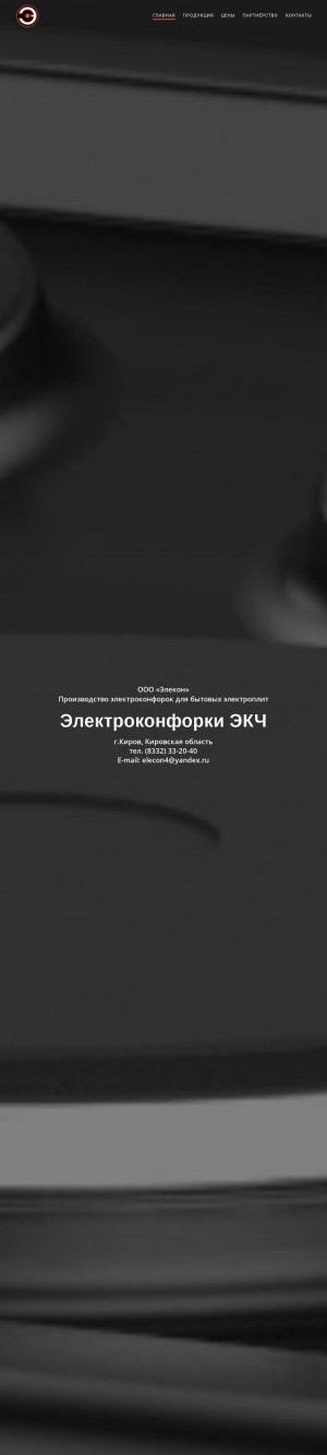 Предпросмотр для elecon43.ru — Элекон