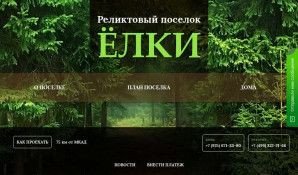 Предпросмотр для elki.co — Реликтовый посёлок Ёлки