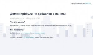 Предпросмотр для npbky.ru — Буссоль