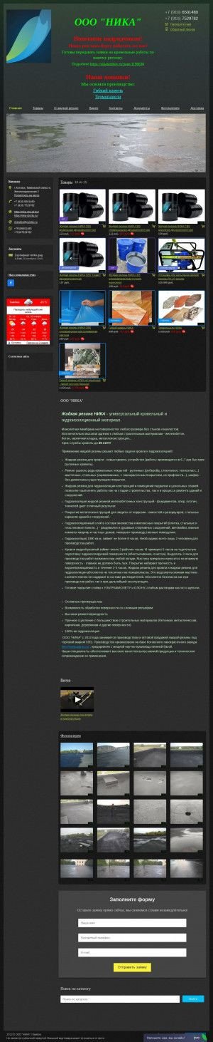 Предпросмотр для nikatambov.ru — Ника