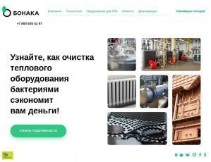 Предпросмотр для bonaka.ru — НаноСерв