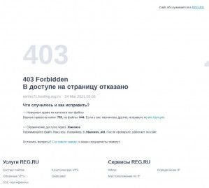 Предпросмотр для dsc21.ru — Dsc21