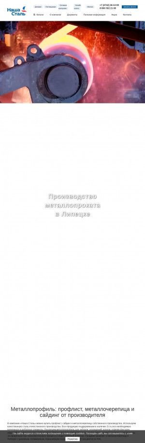 Предпросмотр для nasha-stal.ru — Наша сталь