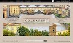 Предпросмотр для www.colexpert.ru — Компания Колэксперт