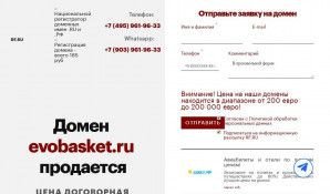 Предпросмотр для www.evobasket.ru — Компания Evomart