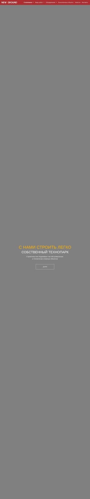 Предпросмотр для www.new-ground.ru — Нью граунд