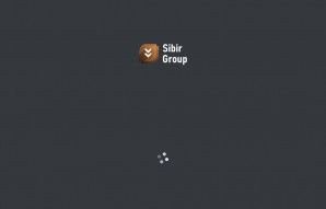 Предпросмотр для sibgr.ru — Sibir Group