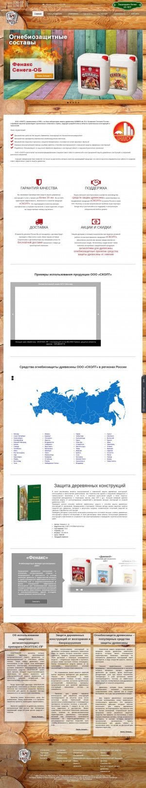 Предпросмотр для www.skolt.ru — Сколт