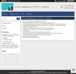 Предпросмотр для agentstvo-nedvizhimostinavashino.tiu.ru — Partner