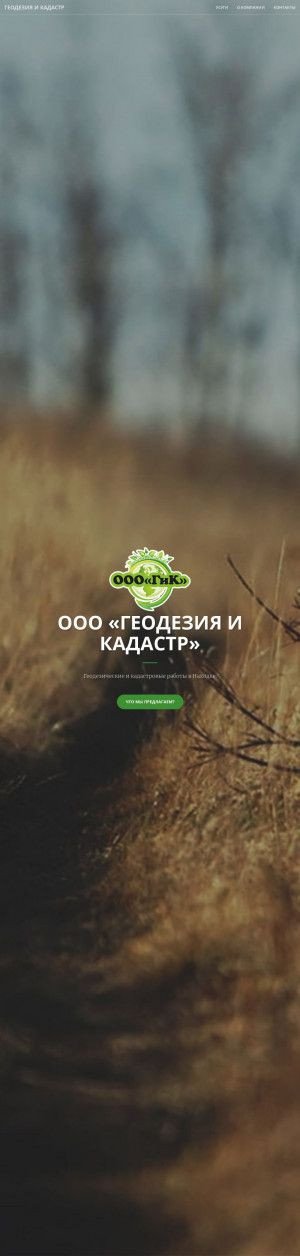 Предпросмотр для dvgik.ru — Геодезия и кадастр