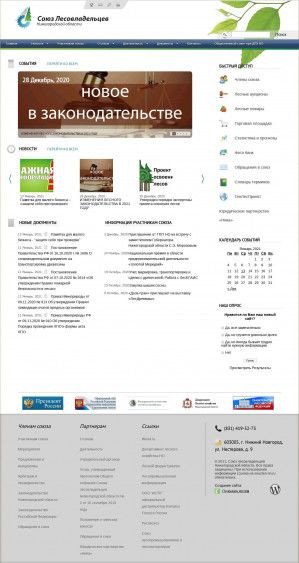 Предпросмотр для souzles-nn.ru — Геолеспроект