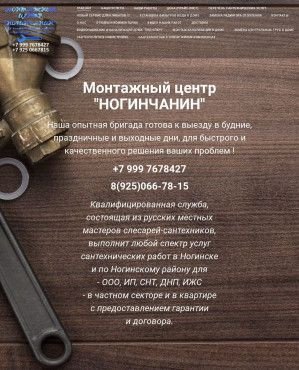 Предпросмотр для santehnikvnoginske.ru — Ногинчанин