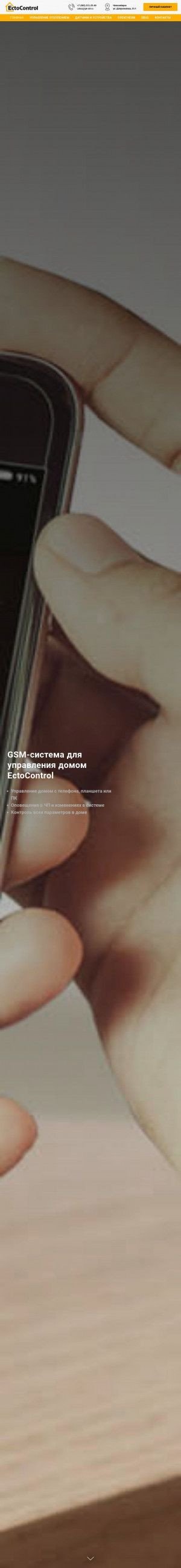 Предпросмотр для ectocontrol-sib.ru — EctoControl