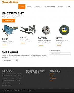 Предпросмотр для enes-tobin.ru — Магазин Инструменты и хозтовары