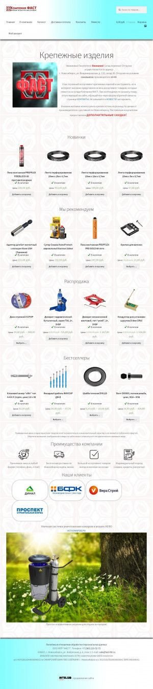Предпросмотр для www.fast-ltd.ru — Компания Фаст