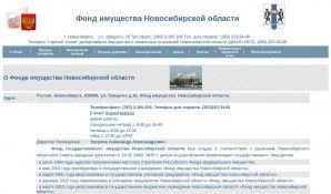 Предпросмотр для www.fi-nso.ru — ГКУ НСО Фи НСО