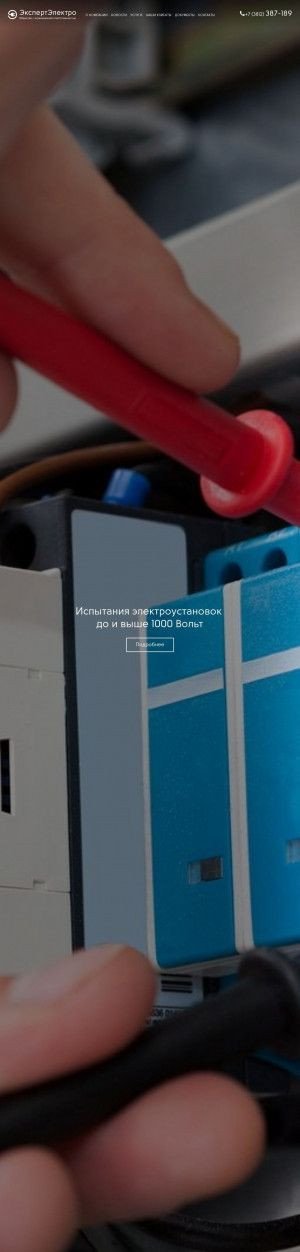 Предпросмотр для exelectro.ru — ЭкспертЭлектро