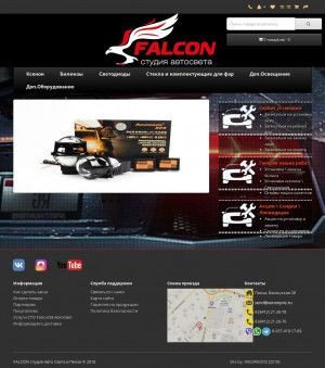 Предпросмотр для falcon58.ru — Студия автосвета Фалькон