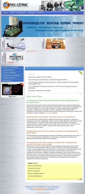 Предпросмотр для brizservice.ru — Бриз-Сервис