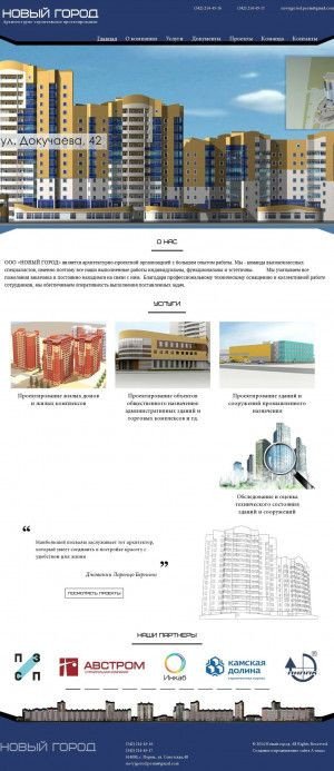 Предпросмотр для ngproject.ru — Новый город
