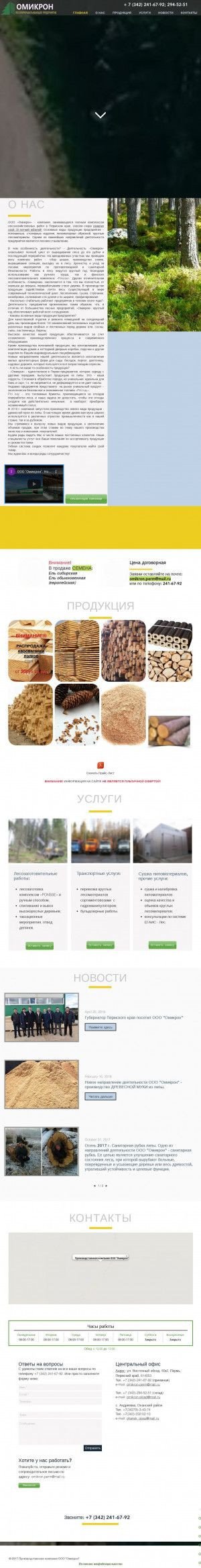Предпросмотр для www.omikron-perm.ru — Омикрон