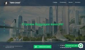 Предпросмотр для binsnab.ru — Бин строй