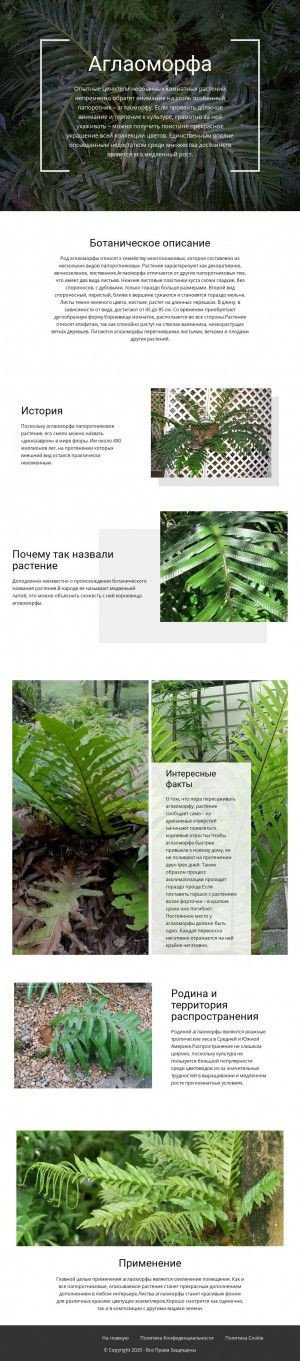 Предпросмотр для anlira.ru — Агентство недвижимости Лира. г. Россошь