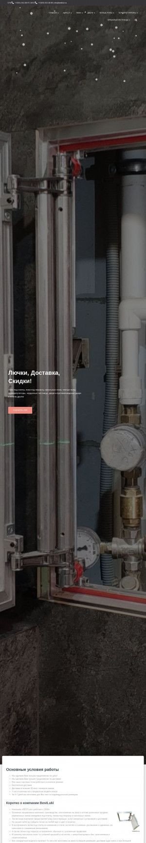 Предпросмотр для bestluki.ru — Бэстлюки