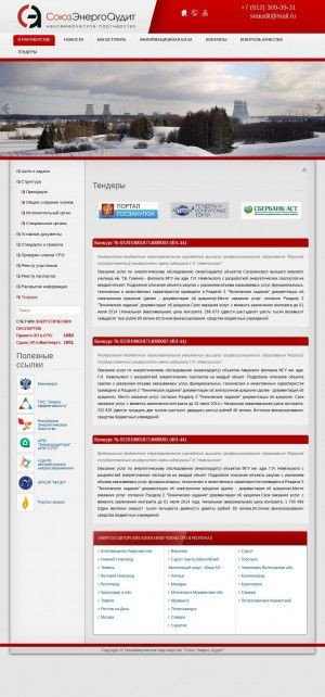 Предпросмотр для www.npaudit.ru — Энергетическая компания СоюзЭнергоАудит