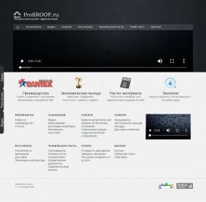 Предпросмотр для www.profiroof.ru — Профи Руфинг