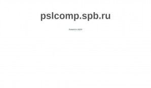 Предпросмотр для pslcomp.spb.ru — ПромСтройЛес
