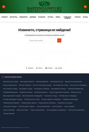 Предпросмотр для www.strana-uyuta.ru — Аренда инструмента