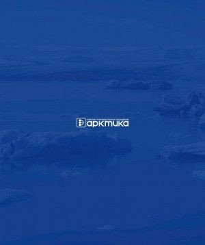 Предпросмотр для www.spoarktika.ru — Северное производственное объединение Арктика