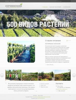 Предпросмотр для pitomnik-sochi.ru — Питомник декоративных растений