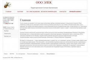 Предпросмотр для www.oaoelek.ru — Элек
