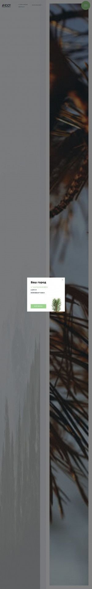 Предпросмотр для ssthm.ru — Северные Строительные Технологии